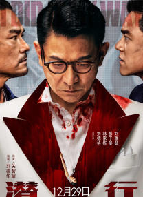 少妇┅┅快┅┅用力赵宏